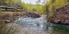 Hurricane Turn Train (Talkeetna to Hurricane Gulch)