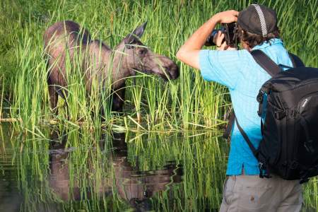Sunset Photo Safaris by Alaska Photo Treks
