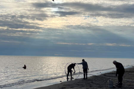 Kenai River - Kenai North Beach Access & Camping