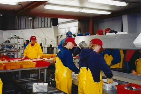 68bc4cdf51dc1 IMG 0312 Copy Prudence Soobrattiealaska org