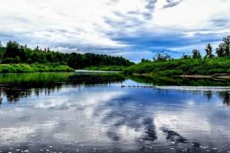 Aj krat 1920 612debdcde4c8 inbound4445925267945425394 alaska willow alaska org photo contest