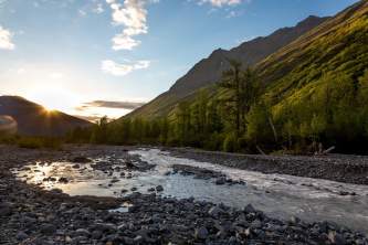 Alaska In June Thumbnail 16a1400