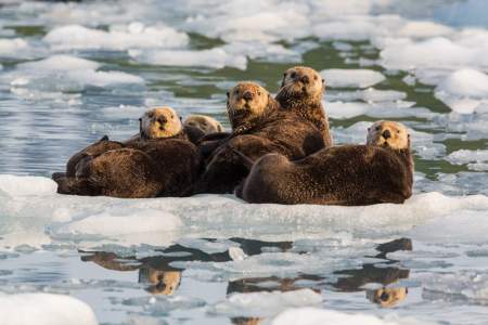 Alaska trip ideas whittier ak135d324952 Hugh Rose Photography 2014