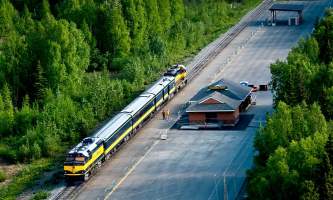 Anchorage to Denali 20100530 Denali 168 o164an
