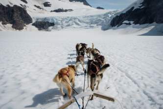 Anchorage winter activities