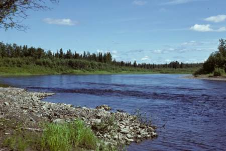 Andreafsky & East Fork Rivers Float Trip Guide