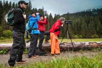 Best way to see alaska mj9r6m