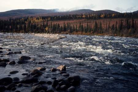 Charley River Float Trip Guide