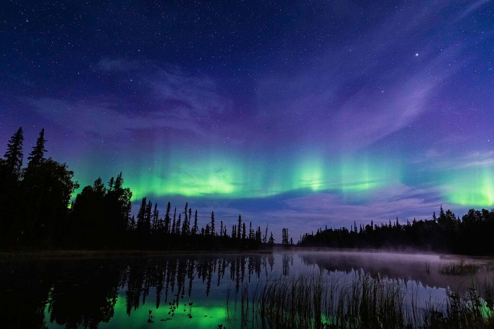 Aurora reflects on a pond near Trapper Creek, Alaska