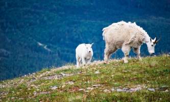 Cooper landing trip ideas Cooper Landing Sabrina Kahles Sabrina Kahles