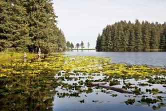 CVB_Creditted_Photos-01-n8vp6u