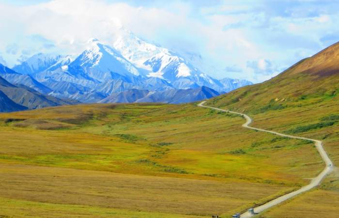 Denali national park trip ideas Denali National Park Angela Lewis Angela Lewis