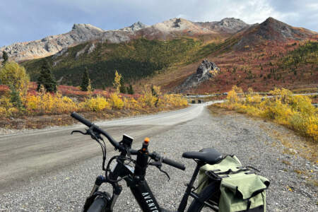 Denali park Cc Brian Keelean2023 Videoalaska org