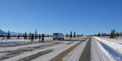 Denali Winter & Spring Drive Adventure
