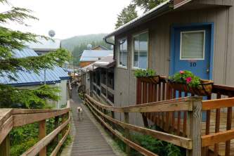 Elfin Cove Elfin Cove P1030753 o1w729