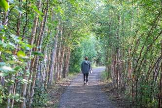 Fairbanks parks trails WW SANC Alaska Org Listing 0002 7 3119 Fnthd Sanctuary 051