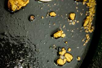 Girdwood gold panning crow creek mine