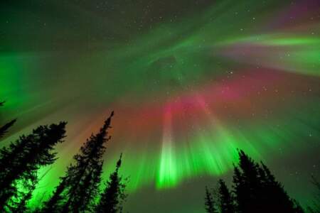 Northern Lights Adventure