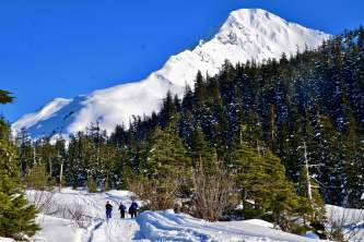 Heney Meadows Cordova Winter Wendy Ranney
