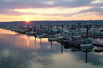 Homer Kachemak Bay main