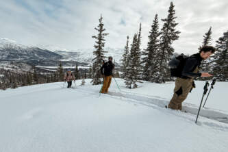 IMG 3992 Busby set 2 of Arctic Hive Arctic Hivealaska org