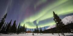 Iniakuk Lake Wilderness Lodge Aurora and Dogsled Expeditions