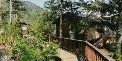 East Cabin Halibut Cove Lagoon