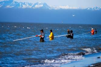 Kenai Dipnetting at the mouth of the Kenai River alaska kenai