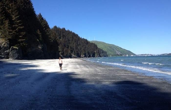 Kodiak rv parks campgrounds Buskin State Recreation Site Beach