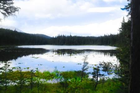 Meridian and Grayling Lakes