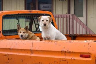 Nome CVB DSCI0789 o1zsyk