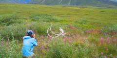 Northern Alaska Tour Company Arctic & Arctic Circle Tours