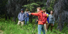 Northern Epics Guided Hiking & Naturalist Tours