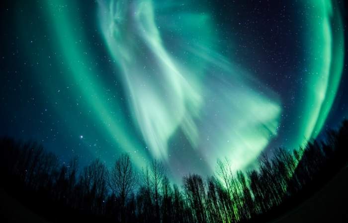 Northern lights talkeetna northern lights silas campbell2019