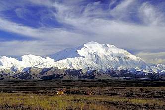 North Faceof Denali 06 mxpxw2