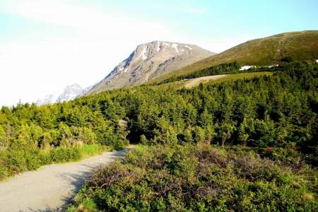 Flattop Mountain Shuttle