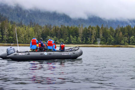 Out to Sea Expedition Company