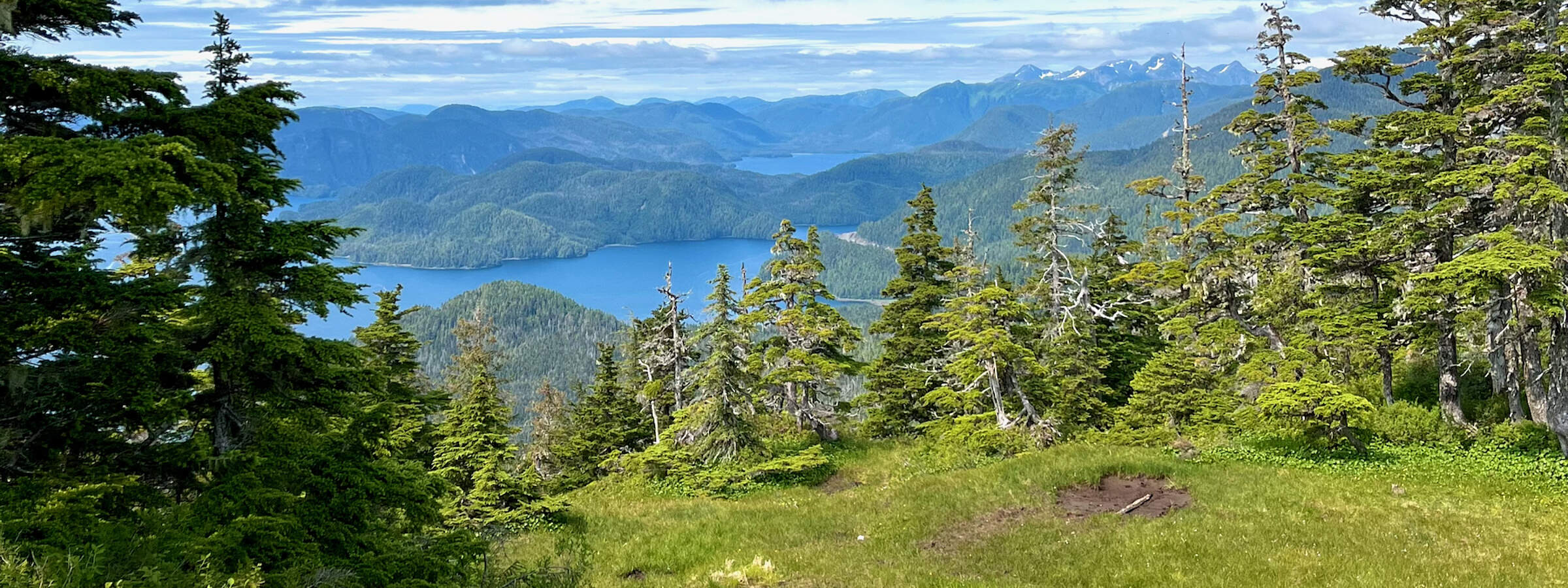 Parks trails Harbor Mountain Sitka Holly Sacca 64d2779f97ccb 854330 D0 B41 E 4 AFC BABD 683 B760 BC1 B2 1