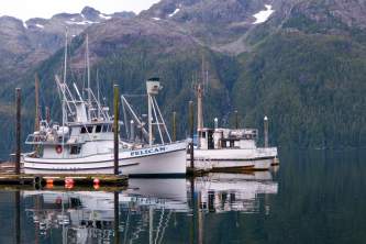 Pelican Pelican P1010753 o1w6h2