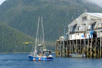 Pelican Pelican P1020923 Copyright 2015 Cynthia Meyer All rights reserved