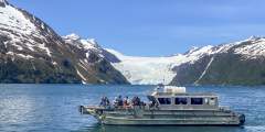 Seacor Tours Small-Group Wildlife & Glacier Tours