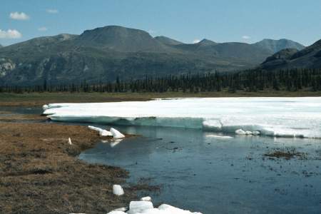 Porcupine River Float Trip Guide