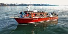 Puffin Fishing Charters