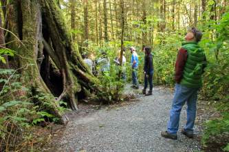 Rainforest sanctuary wildlife eagle center IMG 1193