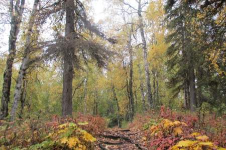 Red Shirt Lake Trailhead