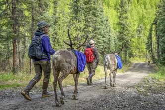 Ryne Olson DSC8981 2