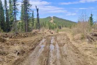 Screen Shot 2021 04 21 at 12 35 08 PM alaska untitled