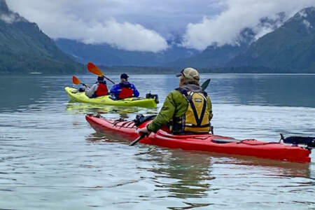 SEAK Expeditions Kayaking Day Tours