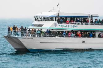 Seward day tours excursions Public Domain