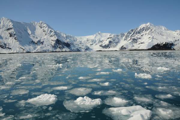 seward-kenai-fjords